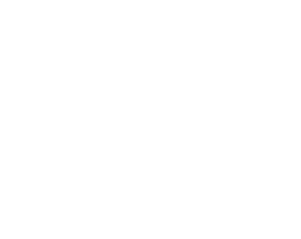 Our primary services are: